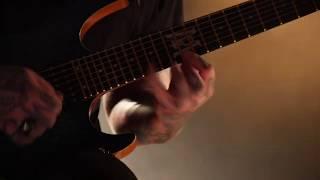 Born Of Osiris - Illusionist Guitar Live