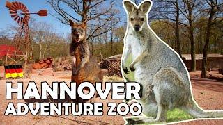 Hannover Adventure Zoo "Outback" : Kangaroo, Emus, etc | Erlebnis Zoo Hannover (7/7)