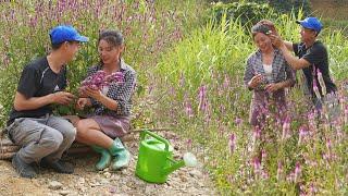 Where love is about to start a new life, single mother lives on the farm