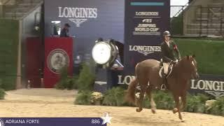 Andre's Take 2024 WIHS Equitation Championship | Hunter Phase