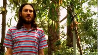 John Frusciante - The Heart is a Drum Machine | Part 4