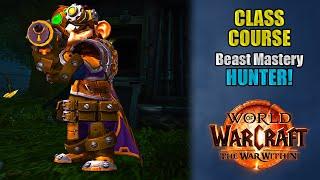 Class Course: A BEAST MASTERY HUNTER Rotation Guide for Beginners! | The War Within