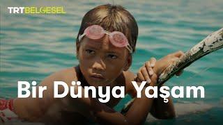 Bir Dünya Yaşam | Filipinler'de Denizde ve Ormanda Yaşam | TRT Belgesel