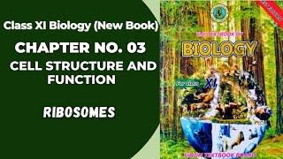 Ch 3 Cell Structure and function | Ribosomes | Class 11 biology new book Sindh board