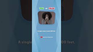 True OR False Quiz Part 1 #quiz #gkquiz #trueorfalse
