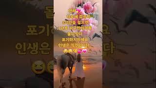 진하좋은글귀 #하루#꾸준히#3시간#걸으면#지구#한바퀴#포기#