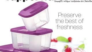 tupperware malaysia catalogue august 2017 - Freezermate Set