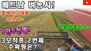[베트남벼농사] 콤바인2대가 1만5천평의논에 들어가면 몇분컷?
