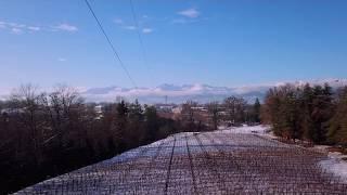 Pietro Cassina - Winter Vineyard with Snow - Lessona ITALY