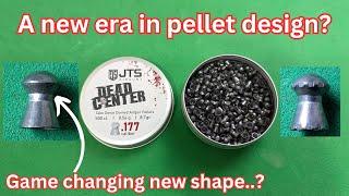 Testing the radical new JTS dead center take down air rifle pellets..