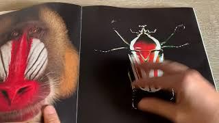 National Geographic Photo Ark Book Review