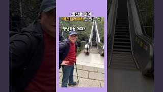 등산로 없이 에스컬레이터만 있는 산