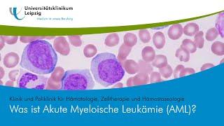 Was ist Akute Myeloische Leukämie (AML)?