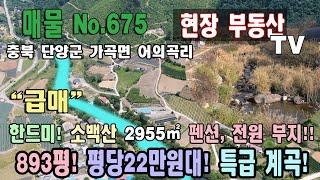 새밭 계곡 급매 가든부지 펜션, 전원주택부지 계획관리 평당 22만원대 2955㎡ 893평 소백산 주변 충북 단양군 가곡면 어의곡리 토지 매매 단양부동산 가곡부동산 어의곡리부동산급매