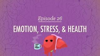 Emotion, Stress, and Health: Crash Course Psychology #26