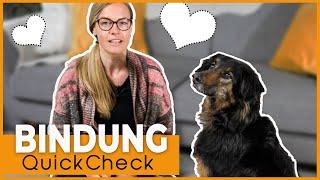 Enge Bindung zum Hund I 7 Komponenten die dir helfen !