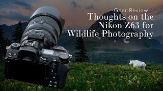 Thoughts on the Nikon Z63 for Wildlife Photography