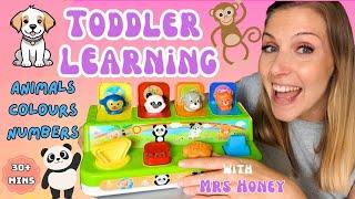 Toddler Learning – Animals, Colours & Counting | Best Learning Video For Toddlers | For Babies& Kids