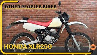 1996 Honda XLR250 #honda #honda250 #offroading #greenlane #bmwmottorad #bmwr1300gs