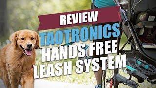 TaoTronics Hands Free Leash System Review