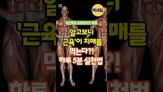 알고보니 ‘근육’이 치매를 막는다?! 하루5분 실천법 #건강한중년 #건강한노후 #100세건강 #뇌건강 #스쿼트 #노후
