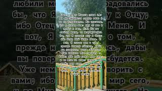 Евангелие от Иоанна глава 14_7 #евангелиеотиоанна #евангелие #новыйзавет #библия #священноеписание