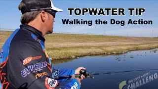 Exclusive Topwater Fishing Tip: How to “Walk the Dog”