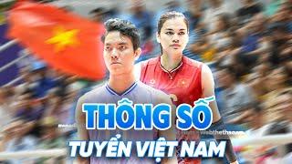 Thông số Việt Nam tại AVC Nations Cup 2025: Bích Tuyền quá xuất sắc