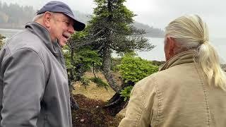 Ancient Trees and Ocean Breeze With Bonsai Artist Dan Robinson