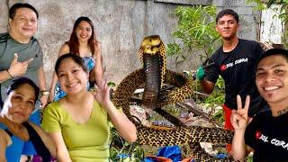 DAMBUHALANG COBRA SA BODEGA, BINULAGA ANG TEAM DOL COBRA! BRGY. DALIAO, TORIL #samarcobra #banakon