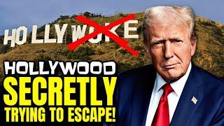 Hollywood SECRETLY Trying to Escape Woke Movies and Shows in New Trump Era: Disney, Netflix & More!