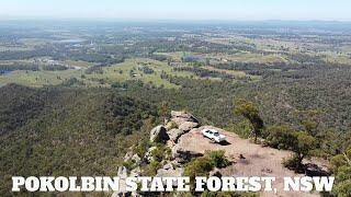 Exploring Pokolbin state forest, NSW [4WD]