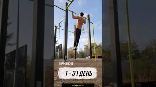 Марафон 365 #365 #motivation #sportsmotivation #sports #спорт #турник #подтягивания #зож