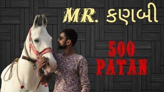 gujarat best horse, horse lover Mr. kanbi, 500 patan Mitul Patel karan Asav Farm, Kungher