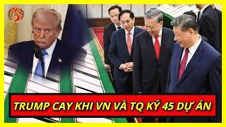 Dân Mỹ Cay Trump Vì Chống TQ Lại Ép Việt Nam Bắt Tay Tập Cận Bình  |  Kiến Thức Chuyên Sâu