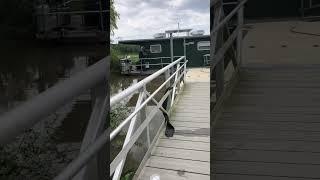 Filling up our water holding tank #shortvideo #boatlife #houseboat #life #lakelife #lakeliving #vlog