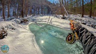 Winter Fly fishing small creeks.. with WAY too much Ice! (Brown Trout)