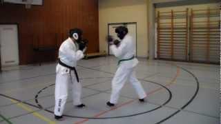 Ju-Jitsu Kampfsport im Budo- und Freizeitsportverein Lahr e.V.