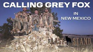 Calling Grey Fox in New Mexico! The Last Stand S7:E11