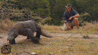 KOMODO DRAGON ENCOUNTER | Komodo National Park, Indonesia | Komodo Adventure: Episode 1 of 4