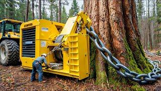 Extreme Dangerous Fastest Big Chainsaw Cutting Tree Machines | Monster Stump Removal Excavator #78