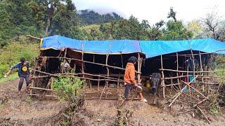 Primitive Rural Village | Chapter 54 | Very Relaxing and Peaceful | Poor but Happy Family of Nepal.