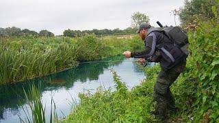 I Can't Believe This Big River Fish Took My FLY! Epic Fight!