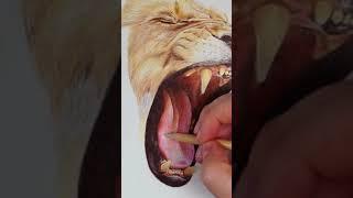 Drawing A Lion With Color Pencils #shorts