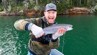 Catching Trout on BASS LURES???