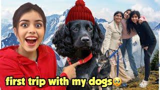 We took our dogs to Mountains ️ Winter vacation  vlog