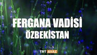 Fergana Vadisi Özbekistan 1. Bölüm