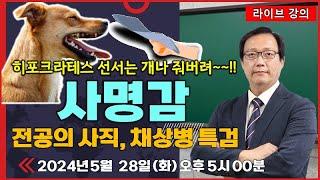 [우측통행] 히포크라테스 선서는 개나 줘버려라!!!! _ 사명감이란 무엇인가? _ 전공의 사직과 채상병 특검, 그리고 청년 정치인 김근태에게서 청년의 사명감을 본다.