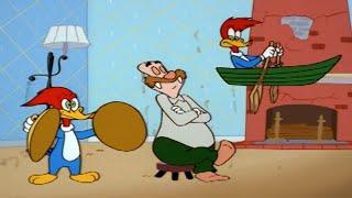 Wally Ignores Woody | 1 Hour of Woody Woodpecker Full Episodes