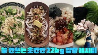 Eng Sub) 22kg 감량하며 많이 먹은 초초간단 다이어트 레시피 Top 4